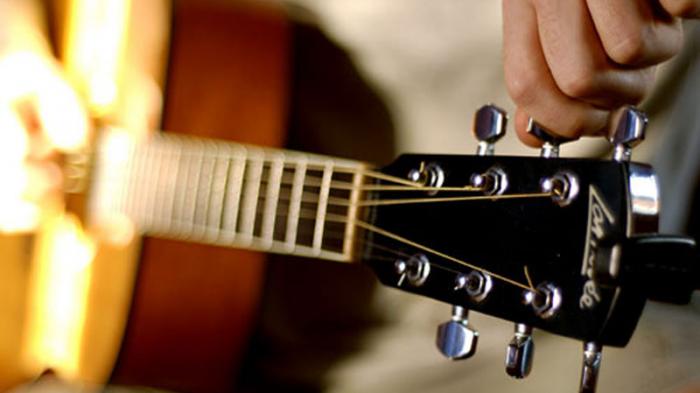 Fakta-fakta Penting Senar Gitar yang Wajib Dipahami